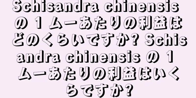 Schisandra chinensis の 1 ムーあたりの利益はどのくらいですか? Schisandra chinensis の 1 ムーあたりの利益はいくらですか?