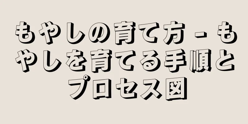 もやしの育て方 - もやしを育てる手順とプロセス図