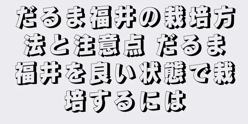 だるま福井の栽培方法と注意点 だるま福井を良い状態で栽培するには