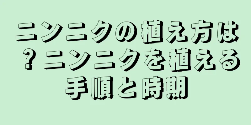 ニンニクの植え方は？ニンニクを植える手順と時期