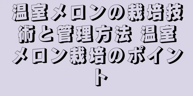 温室メロンの栽培技術と管理方法 温室メロン栽培のポイント