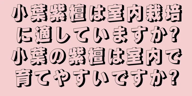 小葉紫檀は室内栽培に適していますか?小葉の紫檀は室内で育てやすいですか?