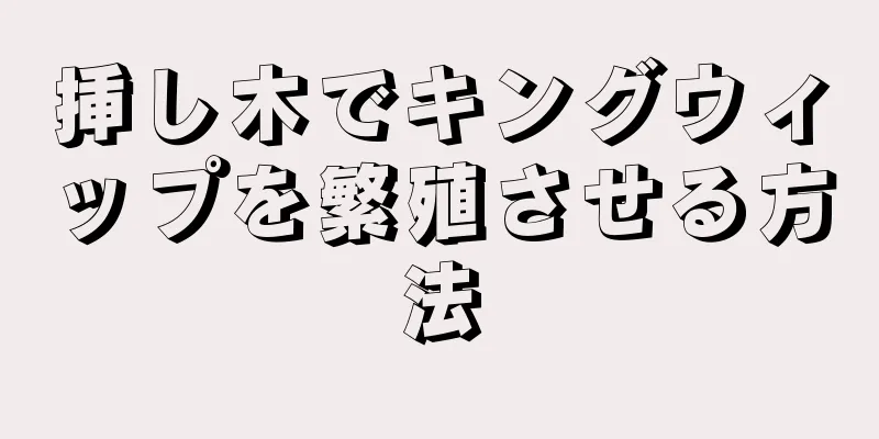 挿し木でキングウィップを繁殖させる方法