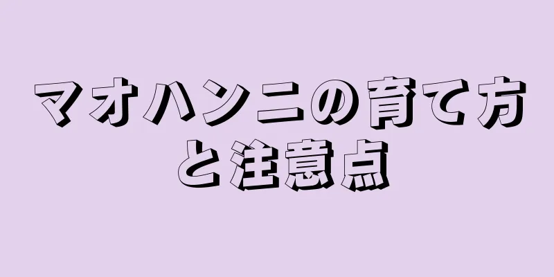 マオハンニの育て方と注意点