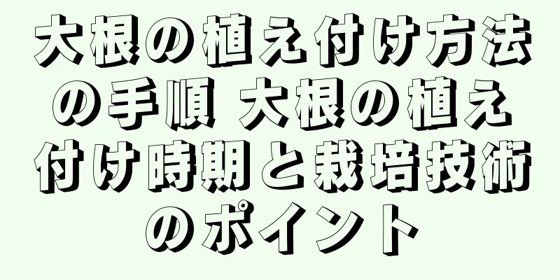 大根の植え付け方法の手順 大根の植え付け時期と栽培技術のポイント