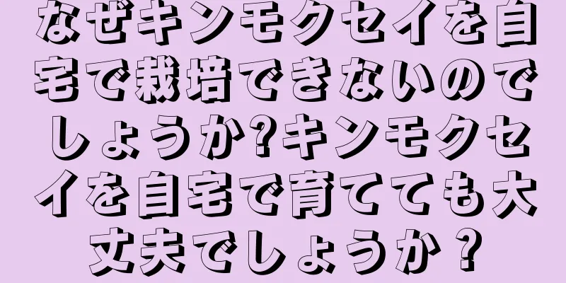 なぜキンモクセイを自宅で栽培できないのでしょうか?キンモクセイを自宅で育てても大丈夫でしょうか？
