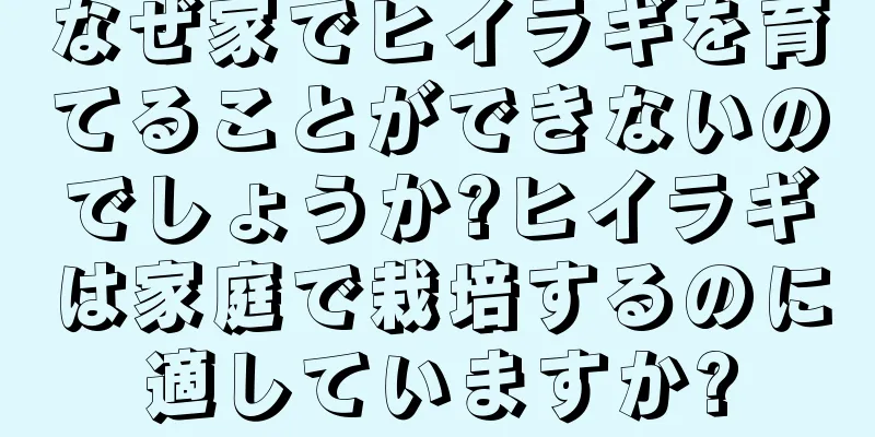 なぜ家でヒイラギを育てることができないのでしょうか?ヒイラギは家庭で栽培するのに適していますか?
