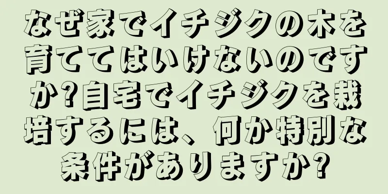 なぜ家でイチジクの木を育ててはいけないのですか?自宅でイチジクを栽培するには、何か特別な条件がありますか?