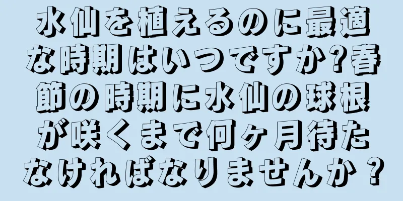 水仙を植えるのに最適な時期はいつですか?春節の時期に水仙の球根が咲くまで何ヶ月待たなければなりませんか？