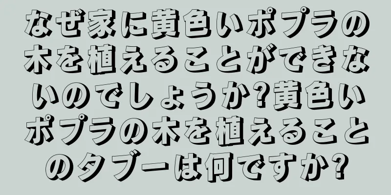 なぜ家に黄色いポプラの木を植えることができないのでしょうか?黄色いポプラの木を植えることのタブーは何ですか?