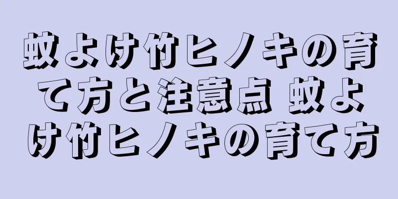 蚊よけ竹ヒノキの育て方と注意点 蚊よけ竹ヒノキの育て方