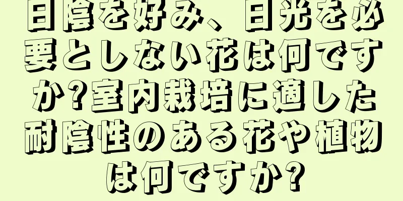 日陰を好み、日光を必要としない花は何ですか?室内栽培に適した耐陰性のある花や植物は何ですか?