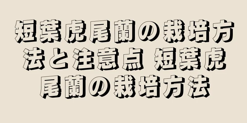 短葉虎尾蘭の栽培方法と注意点 短葉虎尾蘭の栽培方法