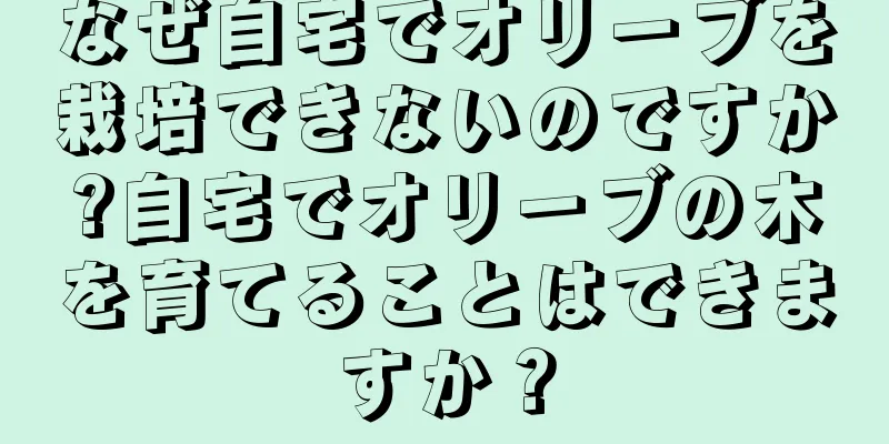 なぜ自宅でオリーブを栽培できないのですか?自宅でオリーブの木を育てることはできますか？