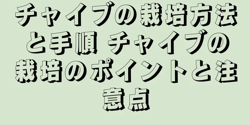 チャイブの栽培方法と手順 チャイブの栽培のポイントと注意点