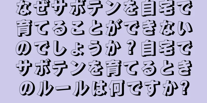 なぜサボテンを自宅で育てることができないのでしょうか？自宅でサボテンを育てるときのルールは何ですか?