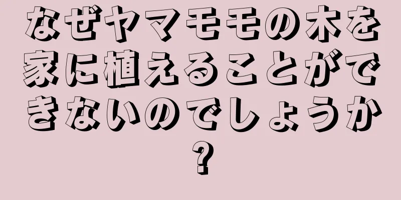 なぜヤマモモの木を家に植えることができないのでしょうか?