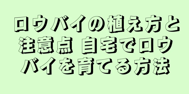 ロウバイの植え方と注意点 自宅でロウバイを育てる方法