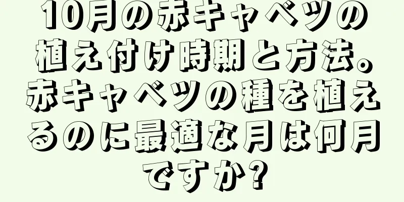 10月の赤キャベツの植え付け時期と方法。赤キャベツの種を植えるのに最適な月は何月ですか?