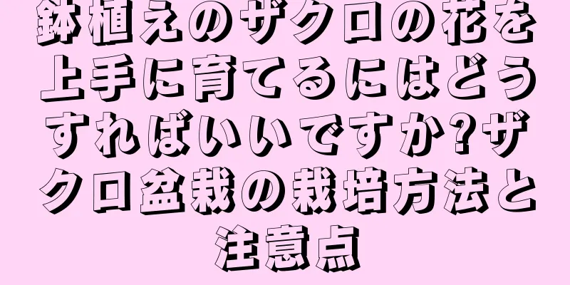 鉢植えのザクロの花を上手に育てるにはどうすればいいですか?ザクロ盆栽の栽培方法と注意点