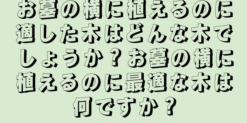 お墓の横に植えるのに適した木はどんな木でしょうか？お墓の横に植えるのに最適な木は何ですか？