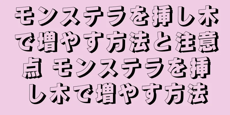 モンステラを挿し木で増やす方法と注意点 モンステラを挿し木で増やす方法
