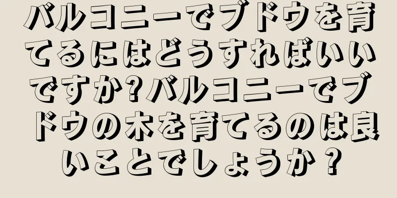 バルコニーでブドウを育てるにはどうすればいいですか?バルコニーでブドウの木を育てるのは良いことでしょうか？