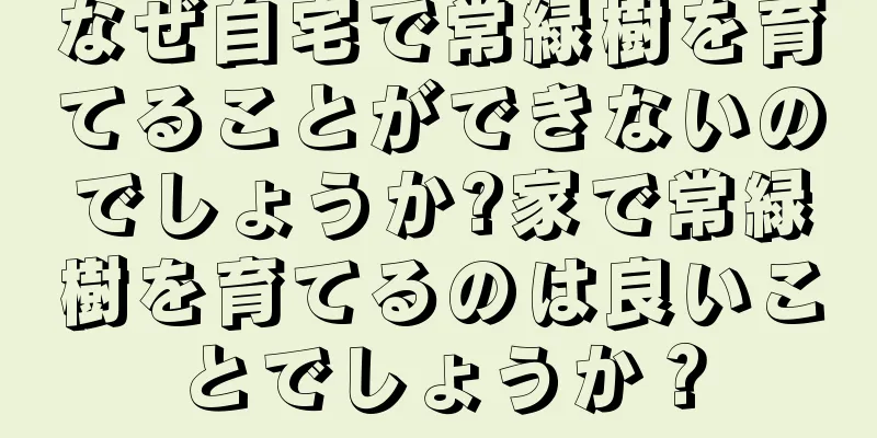なぜ自宅で常緑樹を育てることができないのでしょうか?家で常緑樹を育てるのは良いことでしょうか？