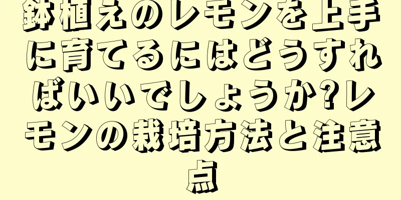 鉢植えのレモンを上手に育てるにはどうすればいいでしょうか?レモンの栽培方法と注意点