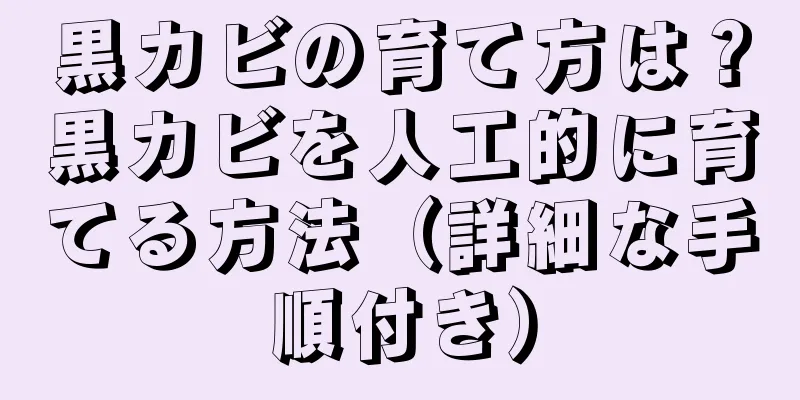 黒カビの育て方は？黒カビを人工的に育てる方法（詳細な手順付き）