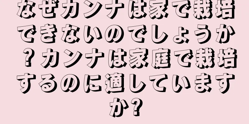 なぜカンナは家で栽培できないのでしょうか？カンナは家庭で栽培するのに適していますか?
