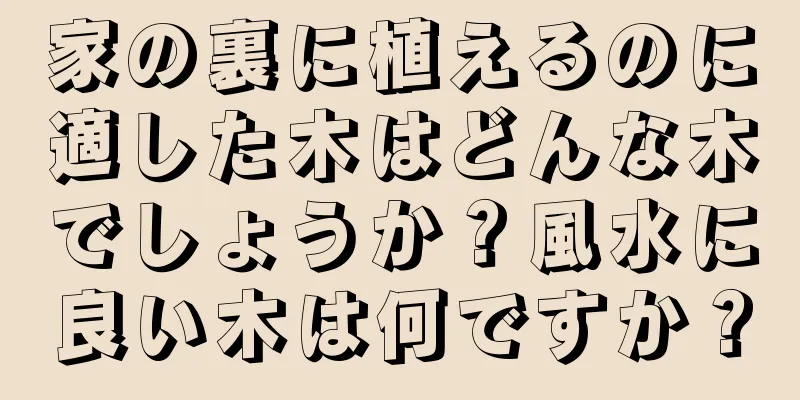 家の裏に植えるのに適した木はどんな木でしょうか？風水に良い木は何ですか？