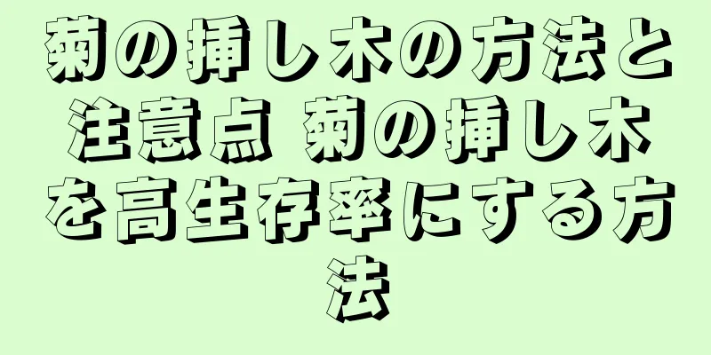 菊の挿し木の方法と注意点 菊の挿し木を高生存率にする方法