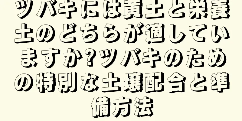 ツバキには黄土と栄養土のどちらが適していますか?ツバキのための特別な土壌配合と準備方法