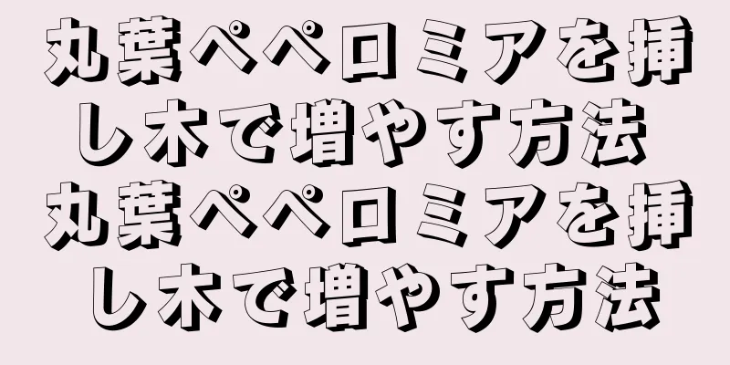 丸葉ペペロミアを挿し木で増やす方法 丸葉ペペロミアを挿し木で増やす方法