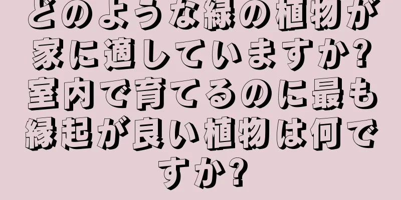 どのような緑の植物が家に適していますか?室内で育てるのに最も縁起が良い植物は何ですか?