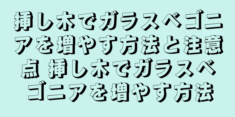 挿し木でガラスベゴニアを増やす方法と注意点 挿し木でガラスベゴニアを増やす方法