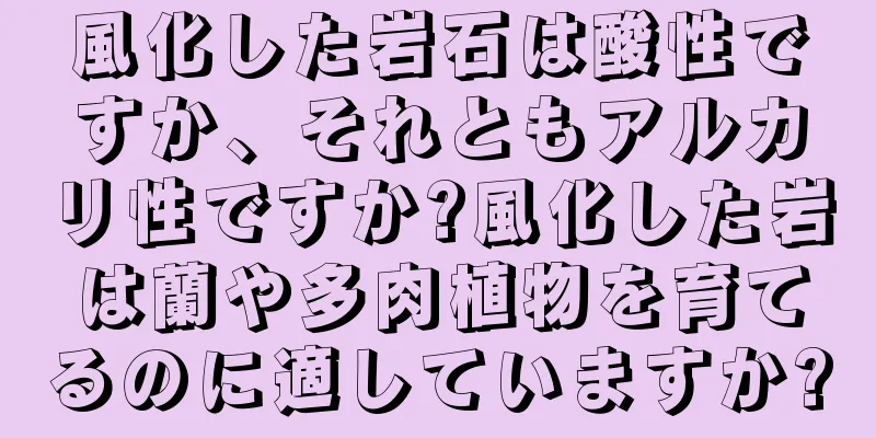 風化した岩石は酸性ですか、それともアルカリ性ですか?風化した岩は蘭や多肉植物を育てるのに適していますか?