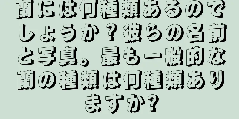 蘭には何種類あるのでしょうか？彼らの名前と写真。最も一般的な蘭の種類は何種類ありますか?