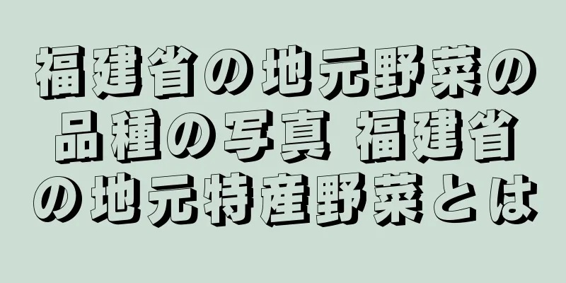 福建省の地元野菜の品種の写真 福建省の地元特産野菜とは