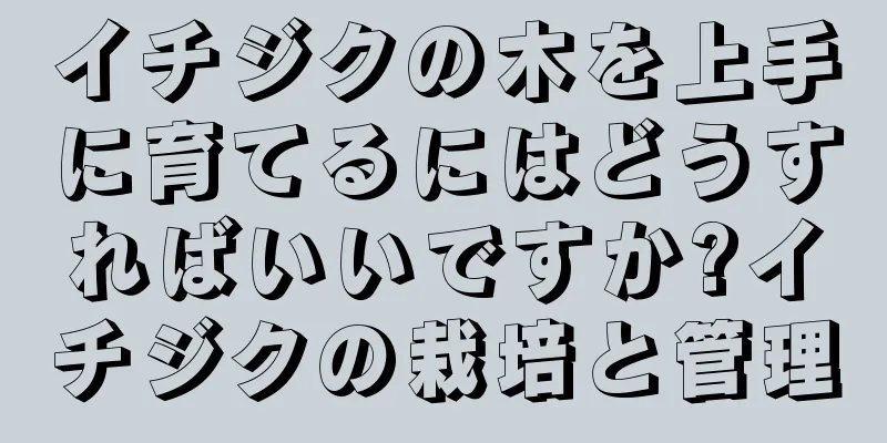 イチジクの木を上手に育てるにはどうすればいいですか?イチジクの栽培と管理