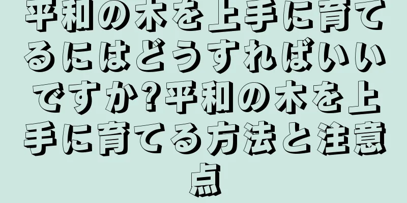 平和の木を上手に育てるにはどうすればいいですか?平和の木を上手に育てる方法と注意点