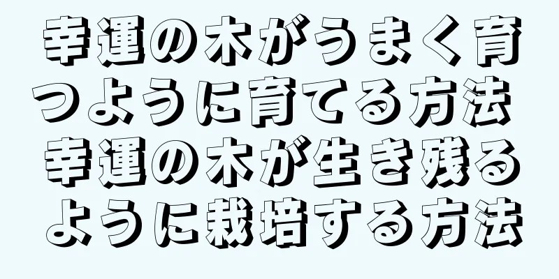 幸運の木がうまく育つように育てる方法 幸運の木が生き残るように栽培する方法