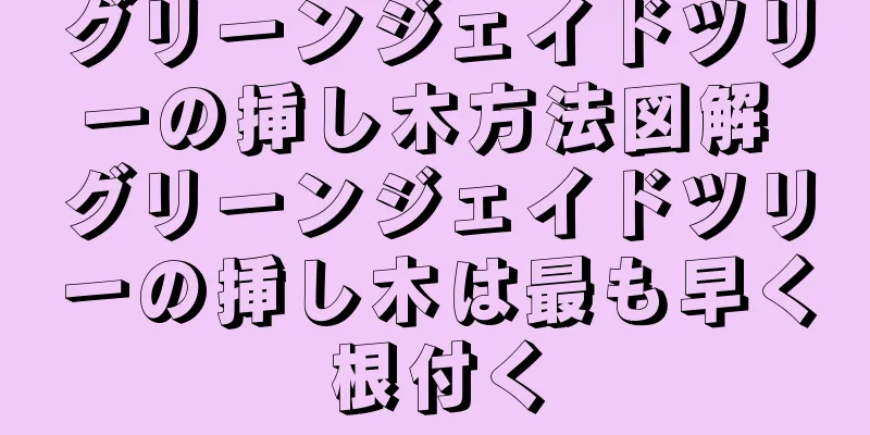 グリーンジェイドツリーの挿し木方法図解 グリーンジェイドツリーの挿し木は最も早く根付く