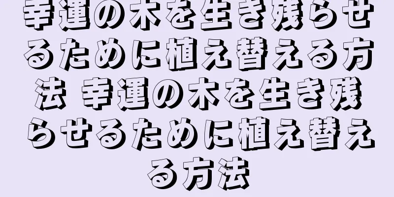 幸運の木を生き残らせるために植え替える方法 幸運の木を生き残らせるために植え替える方法