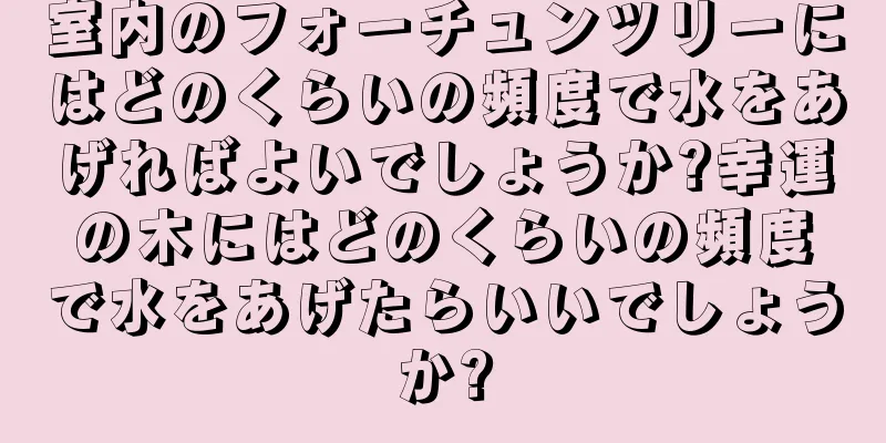 室内のフォーチュンツリーにはどのくらいの頻度で水をあげればよいでしょうか?幸運の木にはどのくらいの頻度で水をあげたらいいでしょうか?