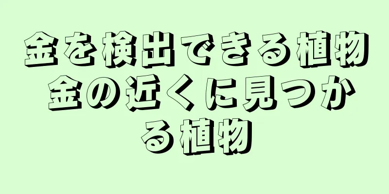 金を検出できる植物 金の近くに見つかる植物