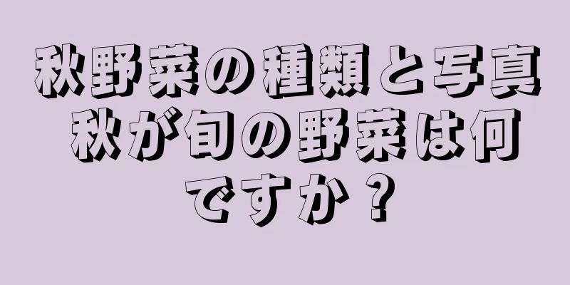 秋野菜の種類と写真 秋が旬の野菜は何ですか？