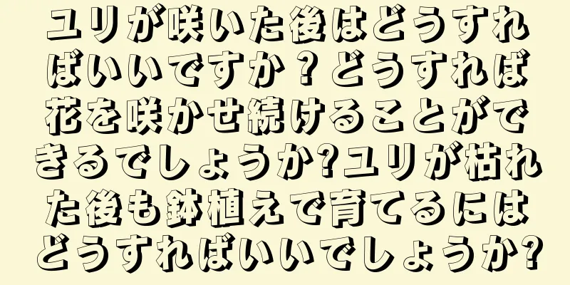 ユリが咲いた後はどうすればいいですか？どうすれば花を咲かせ続けることができるでしょうか?ユリが枯れた後も鉢植えで育てるにはどうすればいいでしょうか?