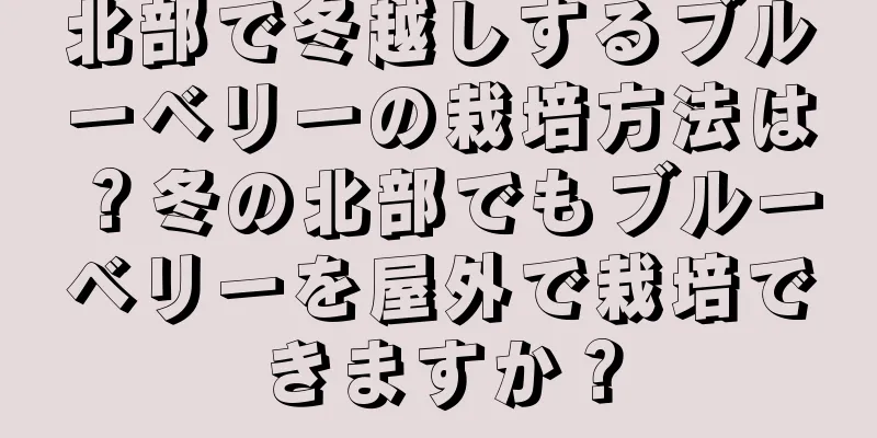 北部で冬越しするブルーベリーの栽培方法は？冬の北部でもブルーベリーを屋外で栽培できますか？